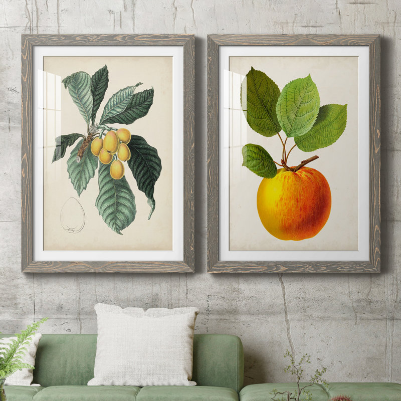 Feuillage antique et fruit VI - ensemble de 2 reproductions d'art sur papier encadré, H 31,5 po x l 47 po x P 1,5 po
