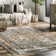 Aagna Distressed Medallion Power Loom Performance Brown/Gray/Ivory Rug