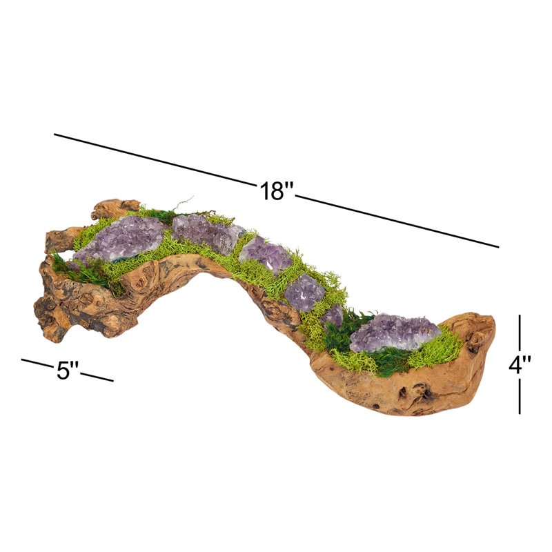 Moss Plant in Wood Planter