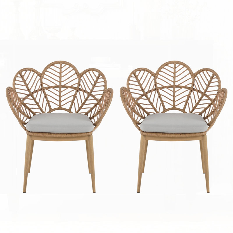 Ensemble de 2 chaises d'extérieur en osier