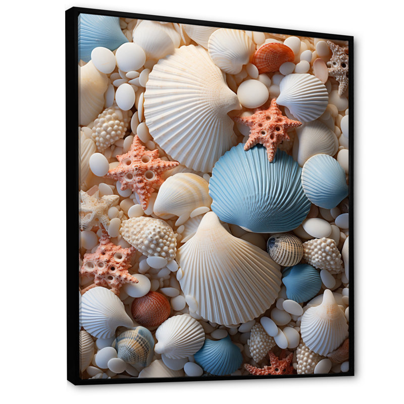 Décoration de plage photo coquillage II - décor mural animal côtier, H 32 po x l 24 po x P 1 po, Cadre flottant noir