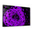 Élégante peinture murale en verre trempé de 13,8 po x 21,7 po | 100% verre trempé, épaisseur: 0,16 pouce | Imprimé UV pour des couleurs éclatantes | Parfait pour la décoration intérieure, le salon et les espaces de bureau