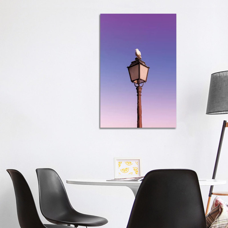 Seagull by Beli - Wrapped Canvas Print, 101.6 cm H x 66.04 cm W x 3.175 cm D