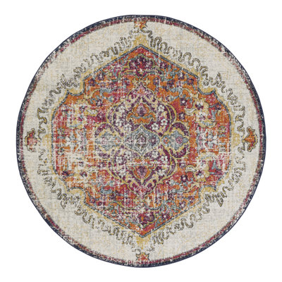 Oriental Area Rug