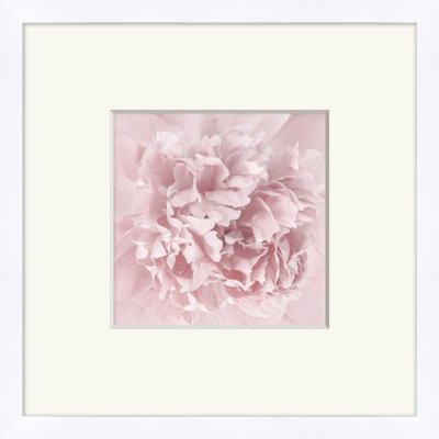 Blush Print by Lillian August