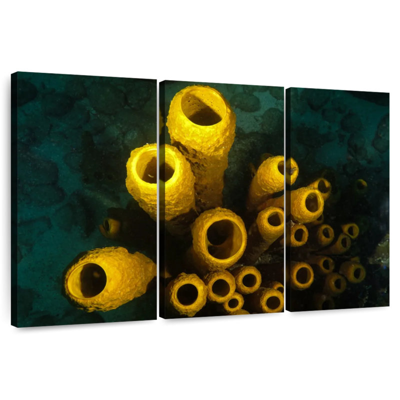 Brampt Yellow Pipe Corals, 36" H x 57" W