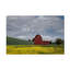 "Palouse Barn and Flowers I" sur un cadre-98248622