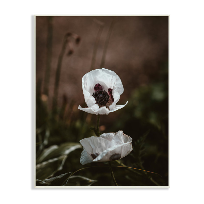 Lonely White Flower Blossom Forest par Incado - photographie, H 19 po x l 13 po x P 0,5 po, Plaque murale