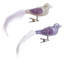 Fancy Bird With Clip, Set Of 12