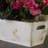 Arrangement in Planter