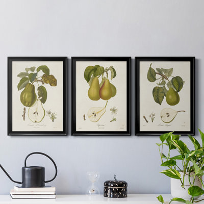 " Vintage Pears IV " 3 - Pieces Painting Print