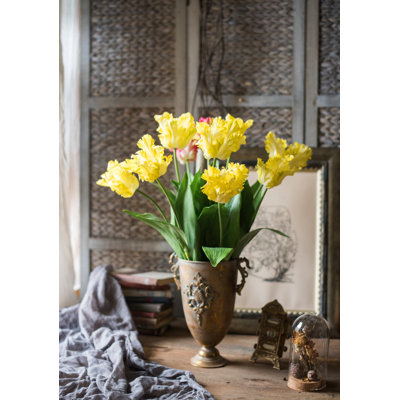 Tulip Floral Stems