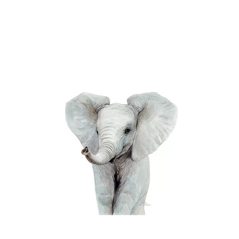 Baby Elephant 1 Piece Wrapped Canvas Painting, 20.32 cm H x 30.48 cm W