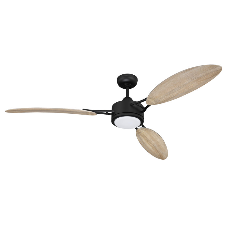 Amdi 64'' Ceiling Fan with LED Lights, Flat Black/Beige
