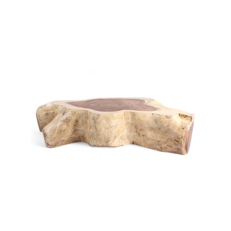 Table basse Nature