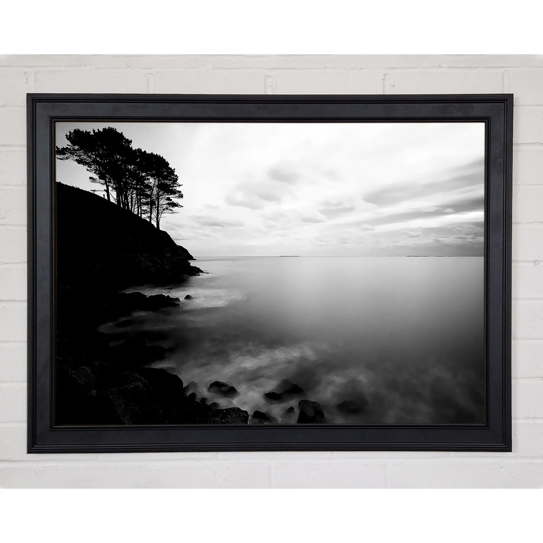 Tree Top Ocean Calm B N W Gerahmter Druck 9486