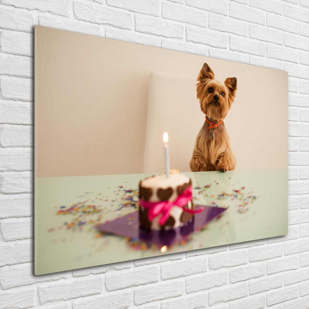 Glasbild Hund mit Torte