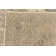 Mosely Oriental Indoor Rug