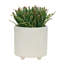 S / 2 DÉCORTEURS TEXTURÉS 6/8 ", BLANC BRILLANT-1133553510