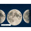 Moon Phases Wall Mural, Peel and Stick Lunar Cycle Wallpaper, Original Deep Blue Starry Sky Art for Bedroom, Nursery and Classroom, 65"W x 96"H-2103207030