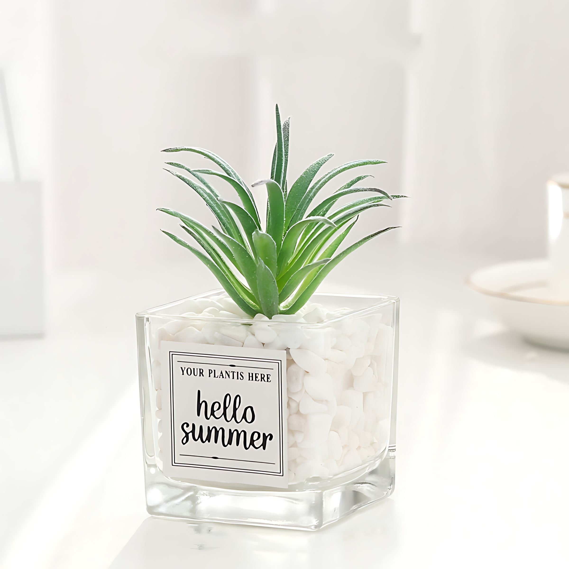 Primrue Nordic Simulation Green Plant Cactus Succulent Artificial Flower Decoration Ornament Living Room Decoration Office Desktop Small Potted Plant - Wayfair Canada