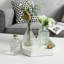 Glass Decorative Bottle-307762602