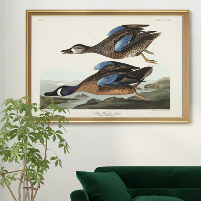 Bleu sarcelle à oreilles bleues - reproduction d'art sur toile