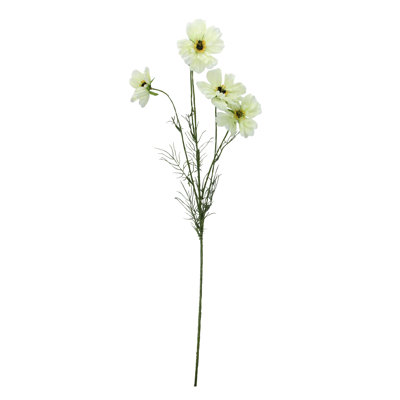 Cosmos Arrangement