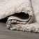 Anttwan Solid Shag Beige Rug