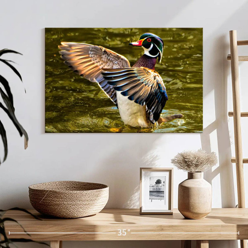 Brampt Duck Flapping Wings, 16" H x 24" W