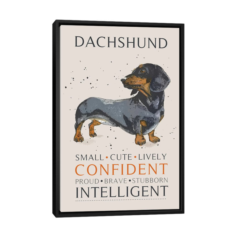 Dachshund by Michelle Campbell - Print on Canvas, 101.6 cm H x 66.04 cm W, Black Framed
