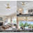 Delontae 60'' Ceiling Fan with LED Lights-781141500
