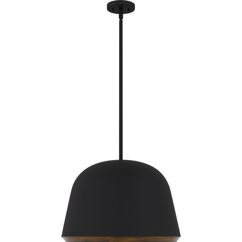 Aaila 4-Light Matte Black Pendant Light