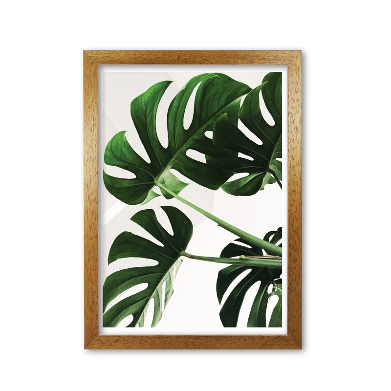 Monstera Leaf - Print, Honey Oak Frame, 42 cm H x 30 cm W x 5 cm D