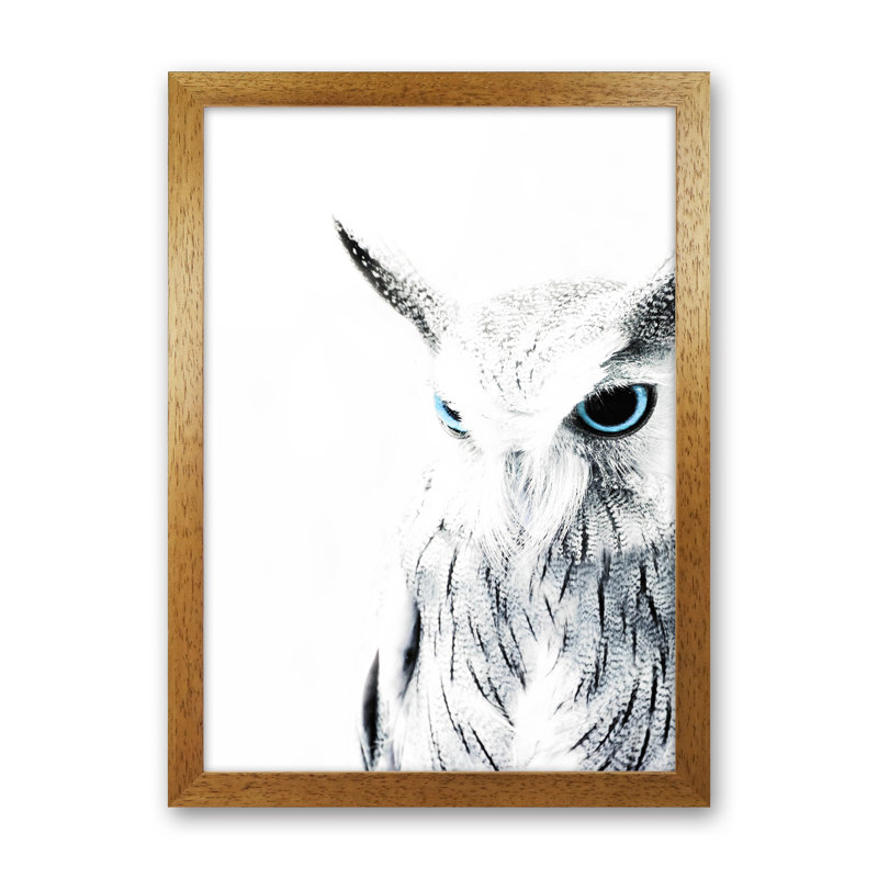 Owl I by Victoria Frost - Print, 34cm H x 25cm W x 3cm D, Oak Framed