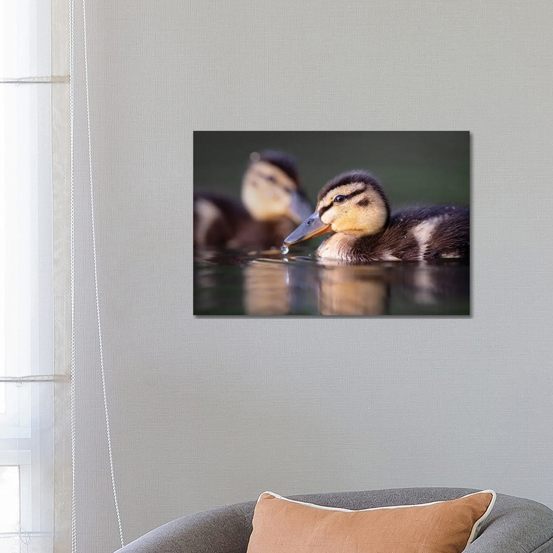 Droplet by Mateusz Piesiak - Wrapped Canvas Print