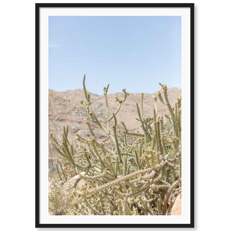 Baja California Print by Carly Tabak, 18" W x 25" H, Black Wood
