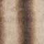 Napoli Animal Print Throw Blanket