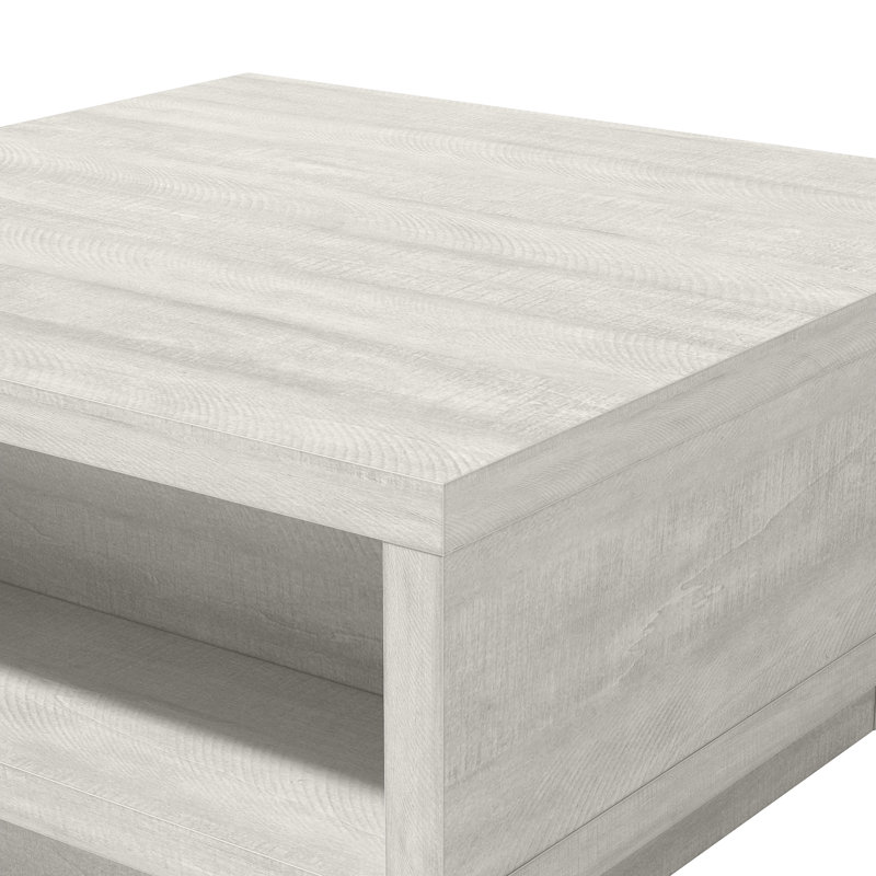 Caomhan Pedestal Coffee Table with Storage