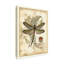 « regal libellule i », reproduction d’impression sur toile tendue-33418110