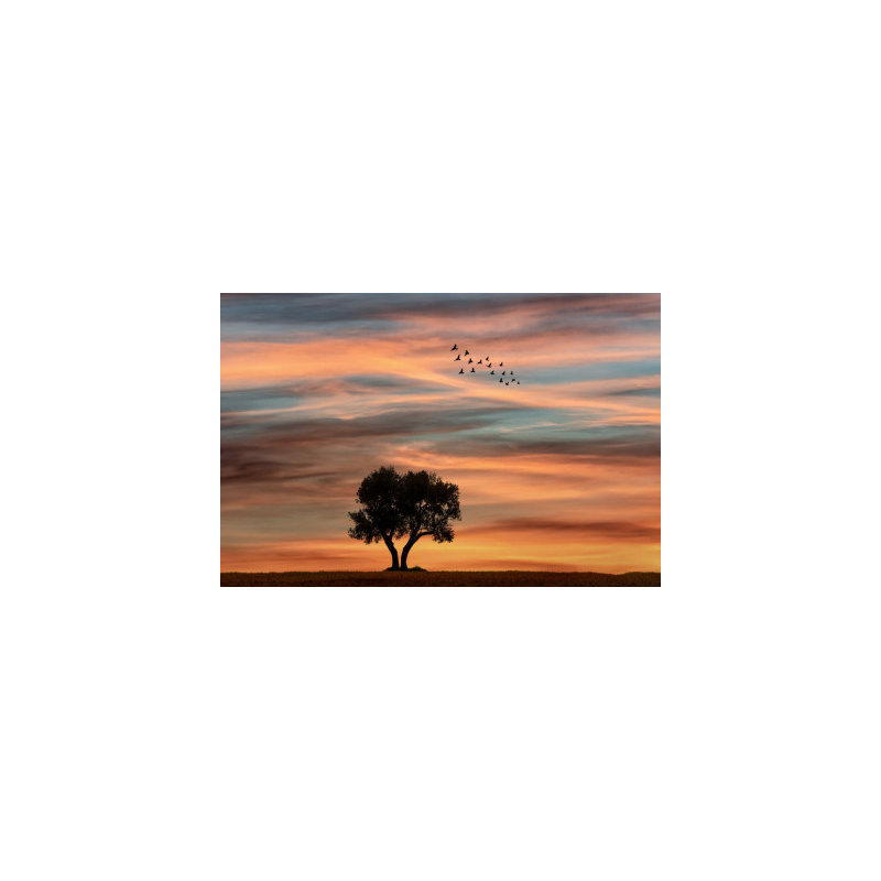Wrapped Canvas Print, 50.8cm H x 76.2cm W