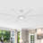 Delanei Ceiling Fan with LED Lights-1185162621-1189058230