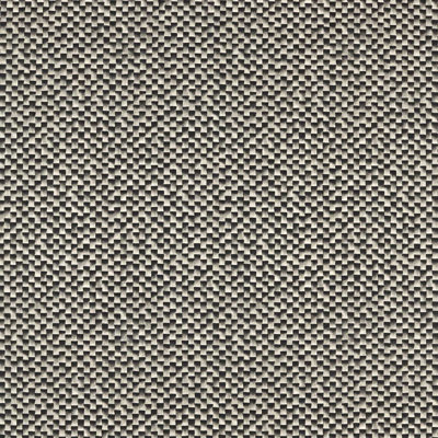 Skiva Fabric
