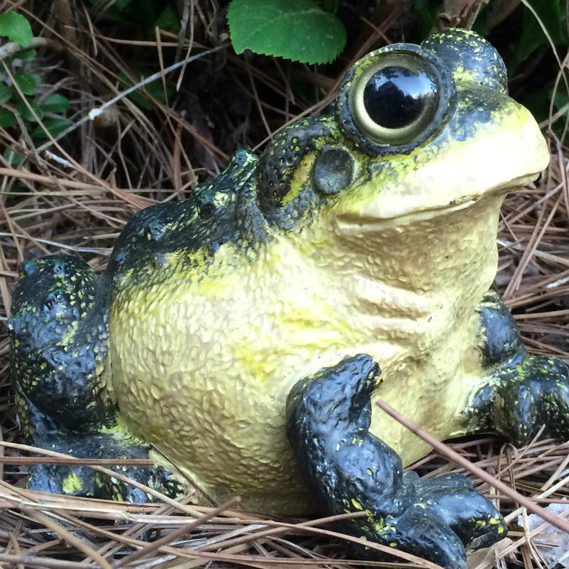 Large Realistic Yellow and Black Resin Bullfrog Garden Statue