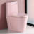 One-piece Toilet-105530009