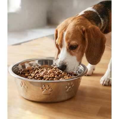 64 Oz Embossed Pet Bowl