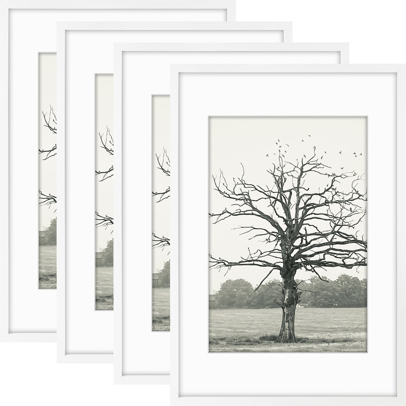 Picture Frame Wall Set with Polished Plexiglass, 16" W x 24" H, White