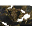 Cast Naturals Burled Root Wall Décor-40190278