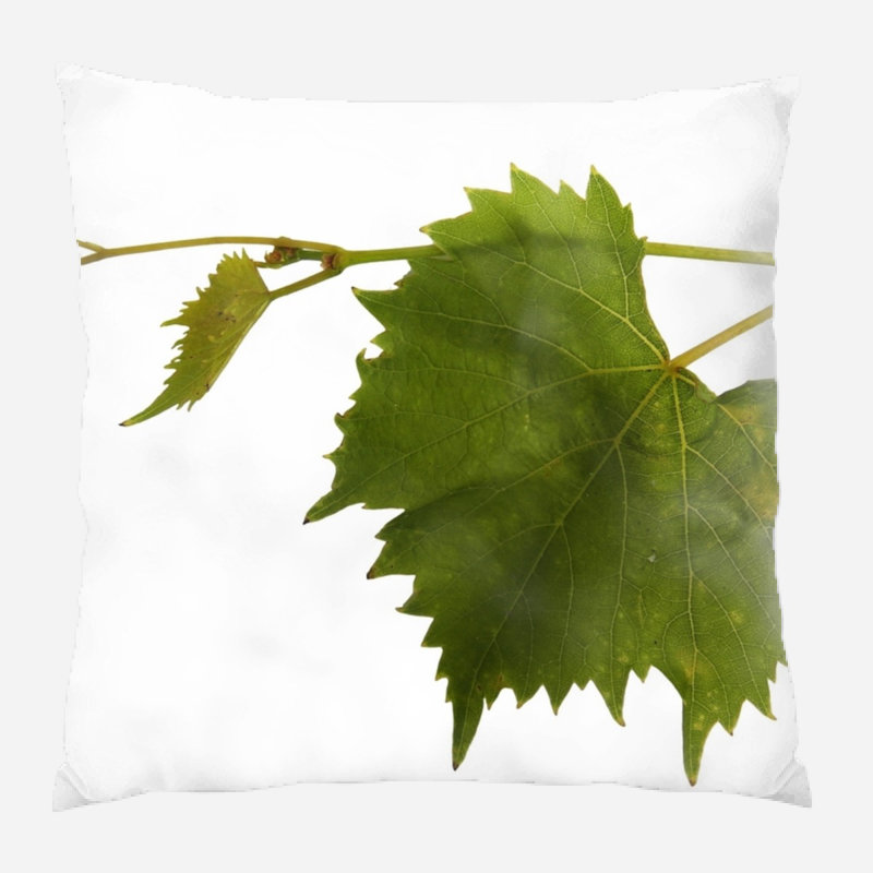 Coussin décoratif intérieur/extérieur grapevine