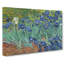 Irises by Vincent Van Gogh - Wrapped Canvas-61887544